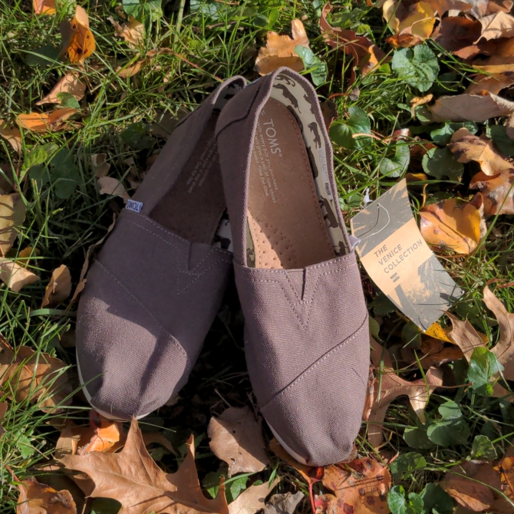 TOMS Classic Ash Canvas 8.5 Womens